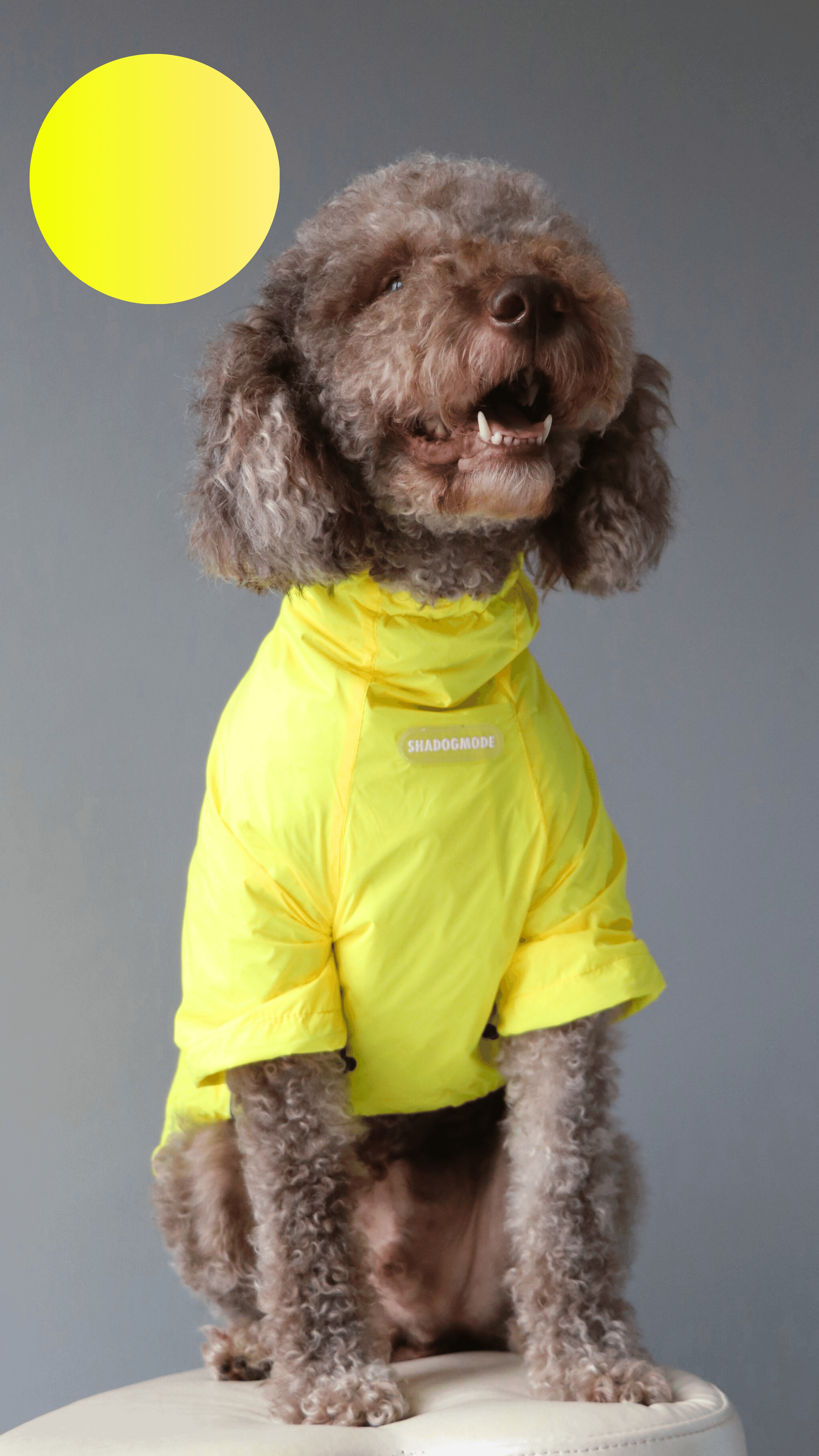 YELLOW YAĞMURLUK
